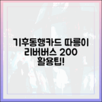 따릉이 & 리버버스: 기후동행카드 200% 활용법