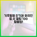 놀라운 기후동행카드 단기권, 외국인 필수 100% 활용법!
