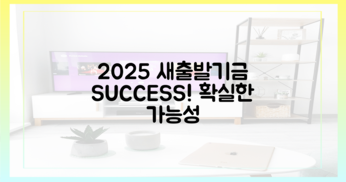 2025 새출발기금, 성공 가능성