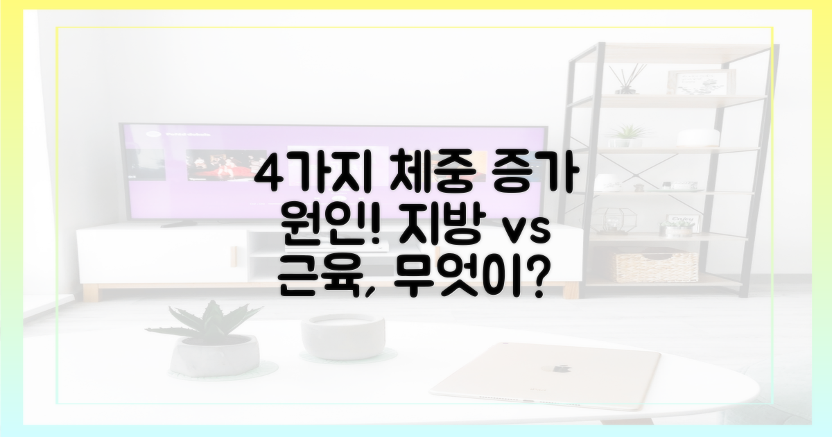 4가지 무거움 원인 분석