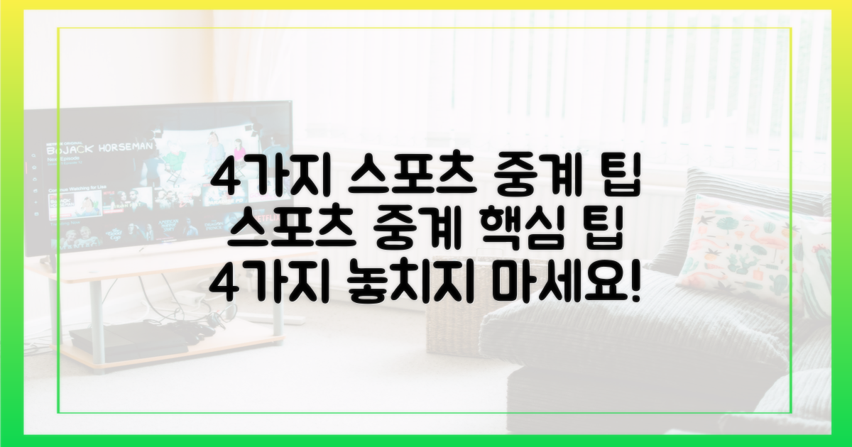 4가지 스포츠 중계 팁