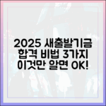 2025년 새출발기금 3가지 합격 비법