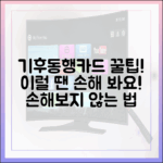 이럴 땐 손해? 기후동행카드 활용 마스터