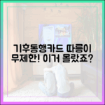 따릉이까지 무제한! 기후동행카드 꿀팁 놀라운 진실
