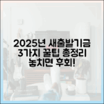 2025년 새출발기금 3가지 꿀팁!