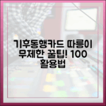 기후동행카드 따릉이, 100% 무제한 이용법