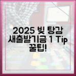 2025년, 빚 탕감! 새출발기금 1가지 팁