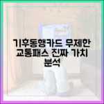기후동행카드로 누구나 누리는 무제한 교통패스 가치 분석