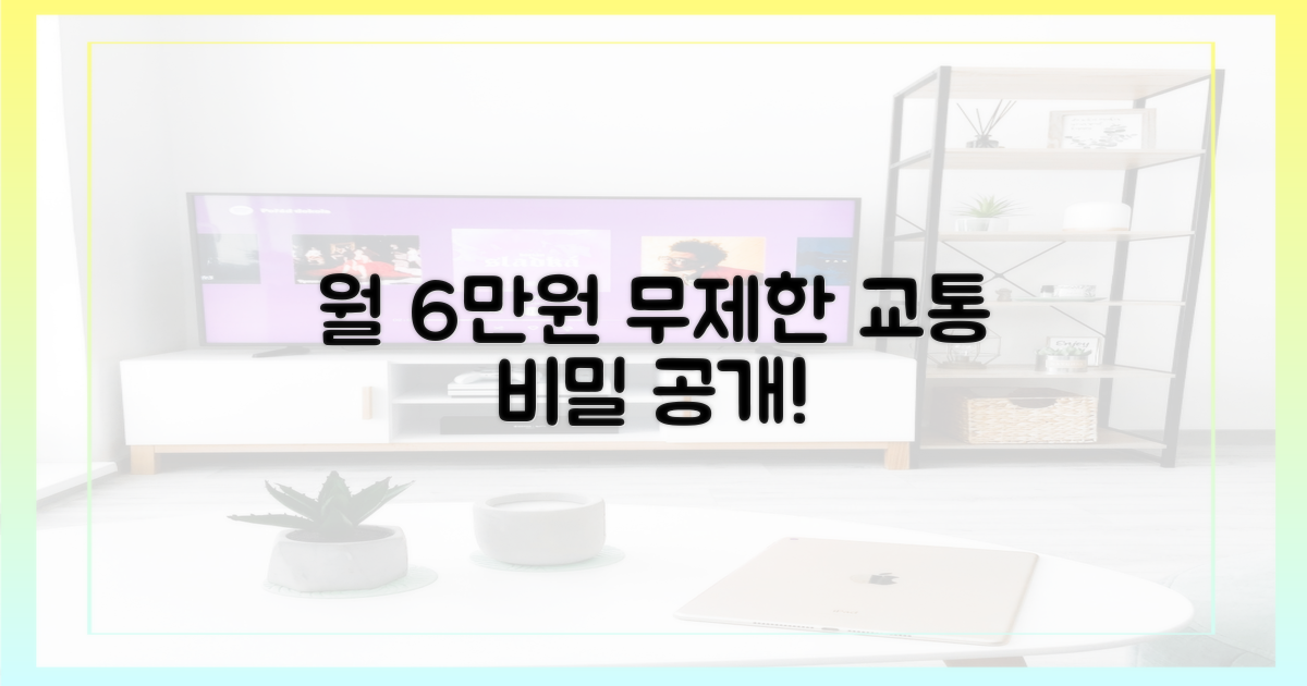 월 6만원 무제한 교통의 비밀