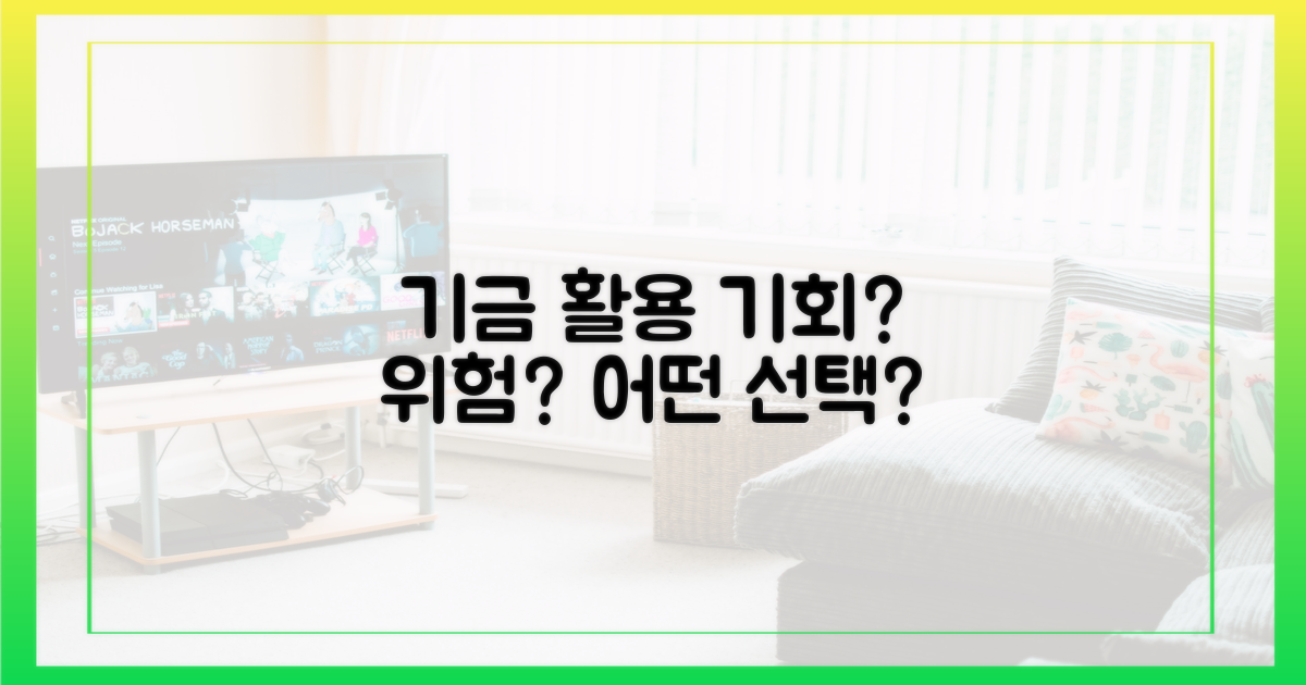 기금 활용: 기회 vs 위험