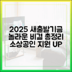2025 소상공인 새출발기금, 놀라운 비결 총정리!