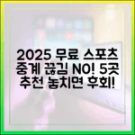 2025년 무료 스포츠 중계 5곳: 끊김 없이!