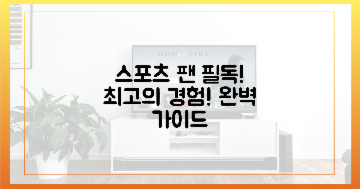 스포츠 팬을 위한 완벽 가이드