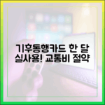 기후동행카드 한 달 후기: 누구나 교통비 절약!