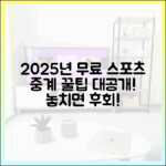 2025년 무료 스포츠 중계, 어디가 좋을까요?