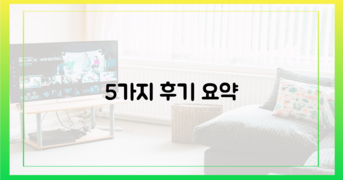 5가지 사용 후기 요약