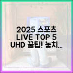 2025 무료 스포츠 중계 TOP 5 (초고화질 꿀팁