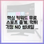 스포츠 중계 무료, 먹튀 걱정 없는 사이트는?