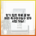 믿을 수 없는 무료 중계! 해외 축구, 야구, 농구 다 보자!