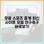 무료 야구/축구 중계, 최신 사이트 여기 다 있을까?