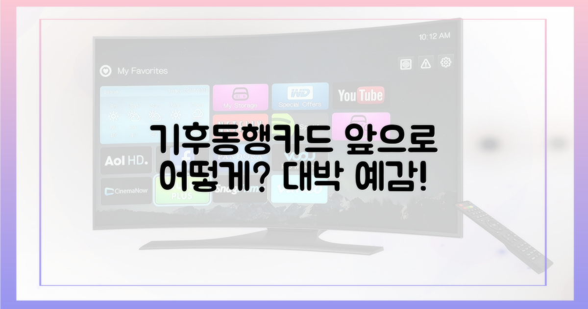 기후동행카드, 앞으로는?