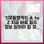 기후동행카드 완벽 가이드: 누구나 지금 알아야 할 모든 것