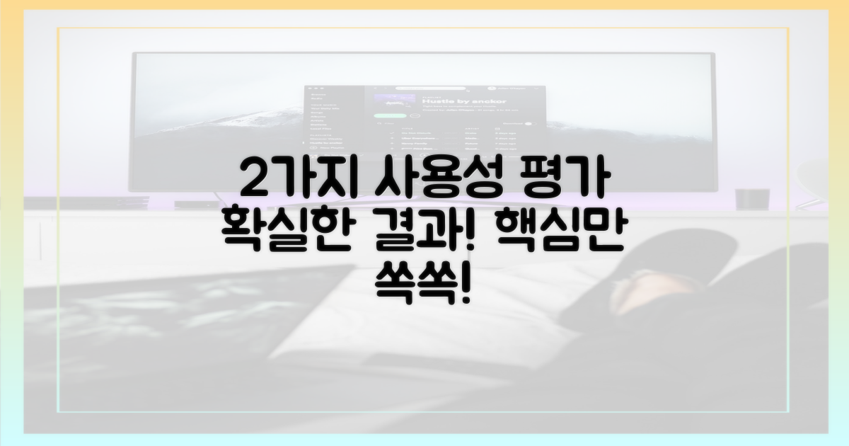 2가지 사용성 평가
