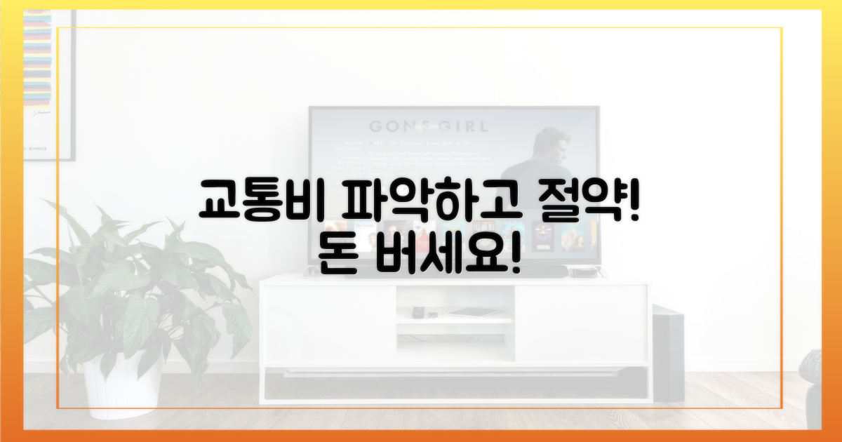 당신의 교통비, 파악하세요!
