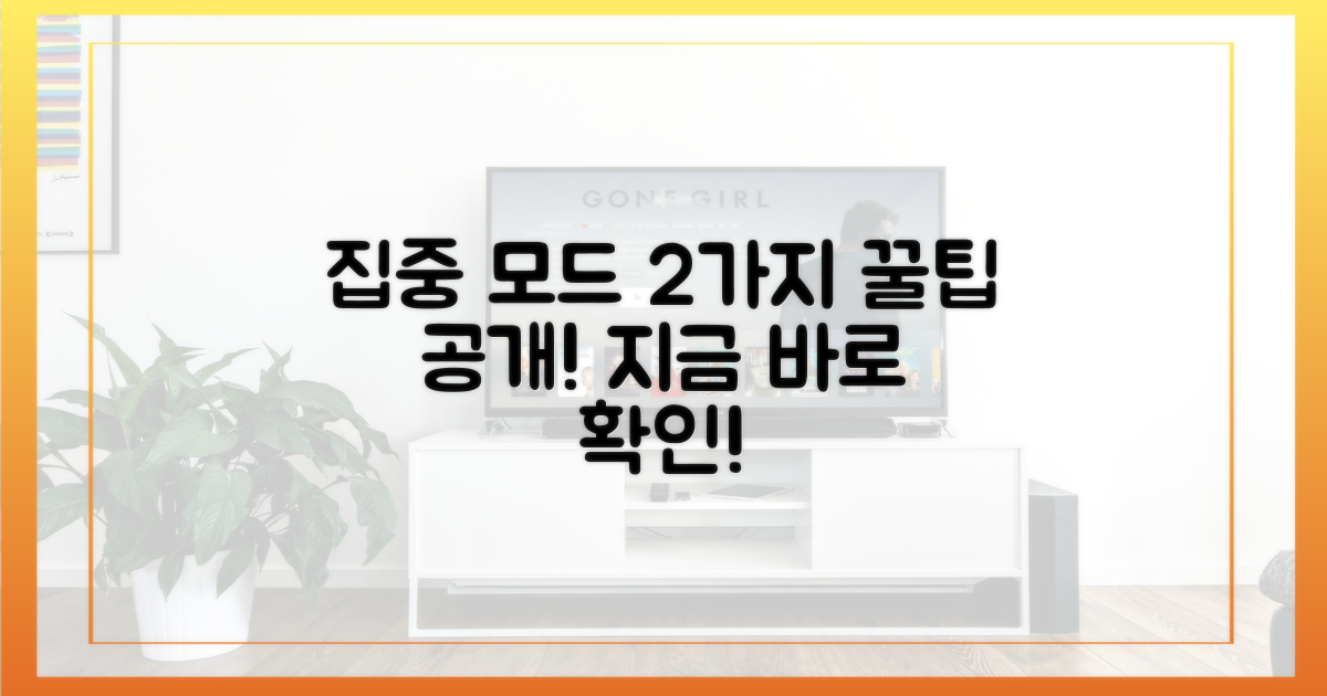 2가지 집중 모드 활용
