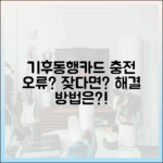 기후동행카드 충전 오류, 잦다면? 해결법은?
