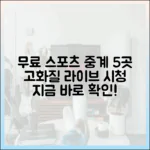 실시간 스포츠 중계: 무료 고화질 사이트 5곳