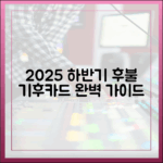 2025 하반기 후불 기후동행카드 완벽 가이드