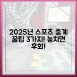 2025년 스포츠 중계 꿀팁 3가지!