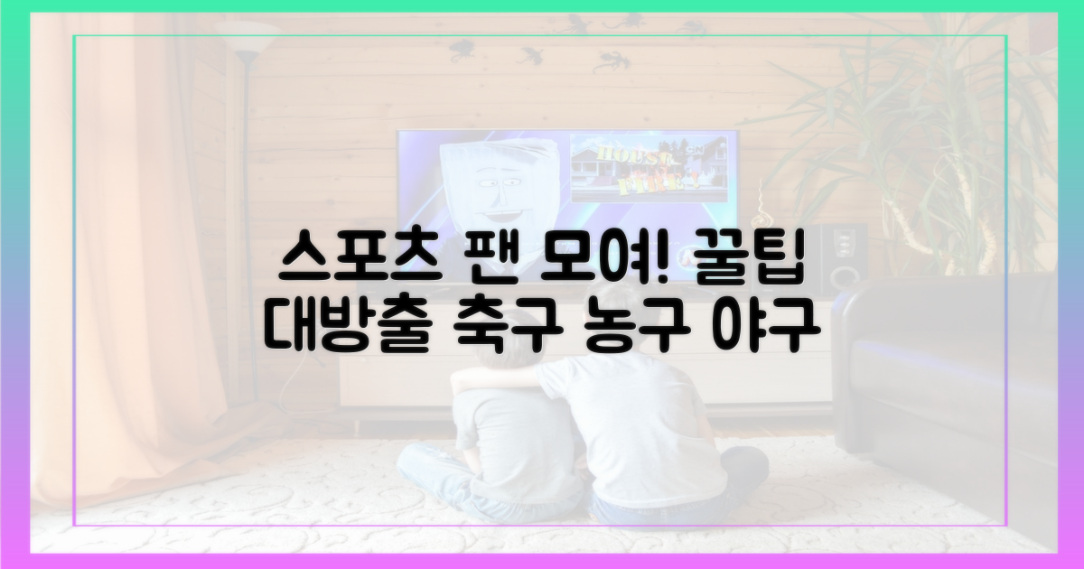 축구, 농구, 야구 팬을 위한 꿀팁