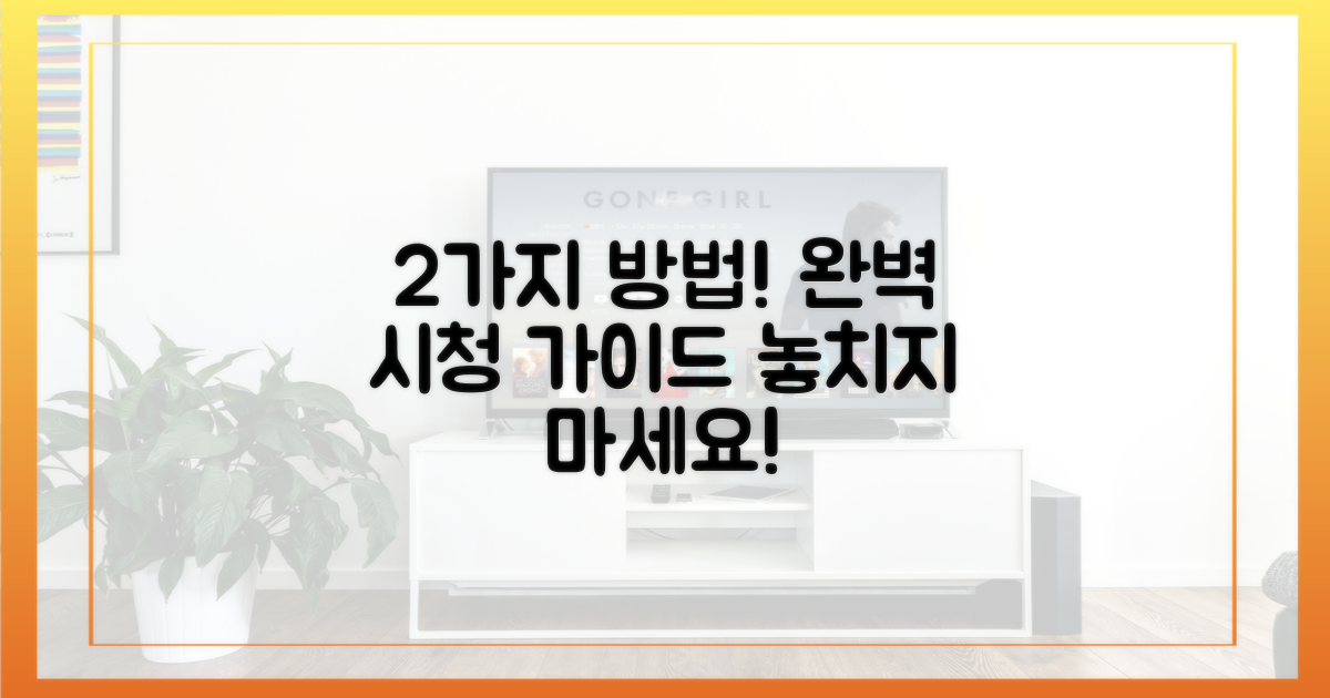 2가지 방법! 완벽 시청 가이드