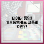 데이터 증명! 기후동행카드 교통비 절감 마스터