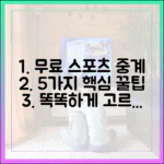 무료 스포츠 중계 5가지 똑똑하게 고르는 법