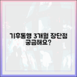 기후동행카드 3개월, 장단점 궁금하세요?