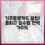 기후동행카드: 출퇴근러 필수템 완벽 가이드
