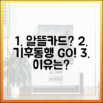 알뜰교통카드? 이제 기후동행카드로 갈아타야 하는 놀라운 이유!