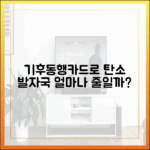 기후동행카드로 탄소 배출, 얼마나 줄일까?
