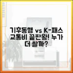 기후동행 vs K-패스: 교통비 절약 완벽 가이드