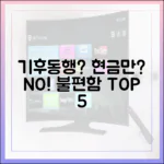 기후동행카드, 현금 충전만? 불편함 TOP 5는?