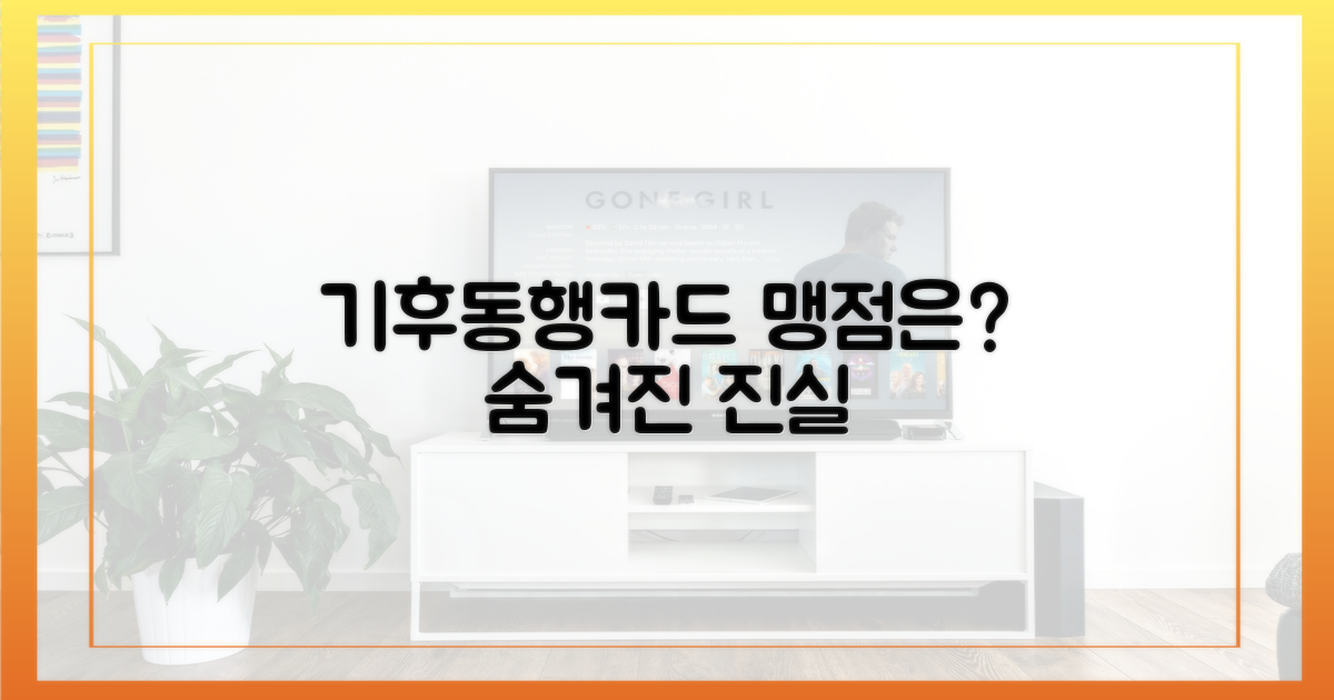 기후동행카드, 맹점이란?