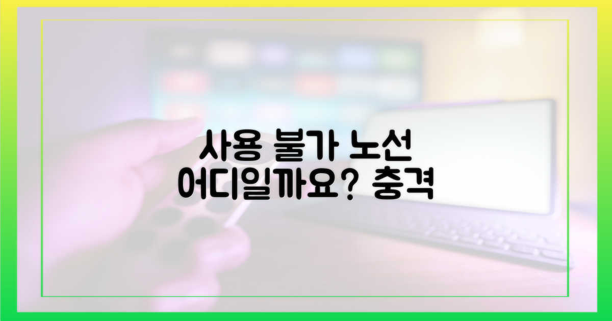 사용 불가 노선, 어디일까?