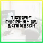 기후동행카드로 누리는 따릉이부터 리버버스 꿀팁