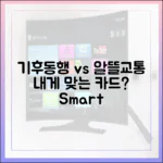 기후동행 vs 알뜰교통, 내게 맞는 카드는?