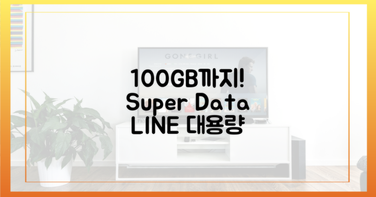 100GB까지 가능한 라인