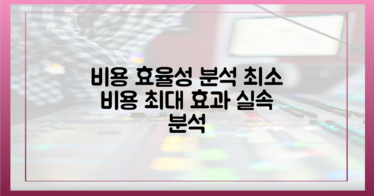 비용 효율성 분석