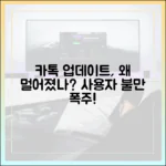 카카오톡 업데이트, 사용자가 원했던 기능과 멀어진 이유